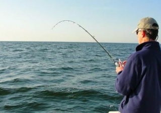 Fishing rod 